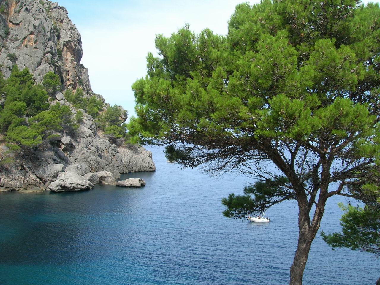 Torrent de Parreis